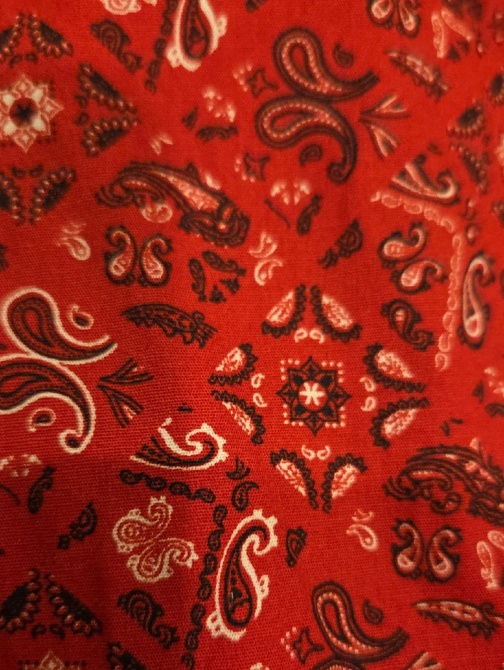 Panhandle Slim Rough Stock Women's Bandana Print  Western Shirt Size Large - Picture 10 of 10